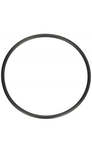 Pentair Cover O-ring (DynaMax, DuraGlass, MaxEPro) U9-375