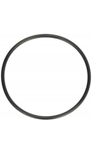 Pentair Cover O-ring (DynaMax, DuraGlass, MaxEPro) U9-375
